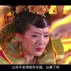 word正版免费下载